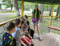 Страна Железных Дорог