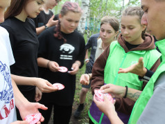 Наша молодёжь - наше уверенное будущее!