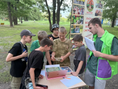 В Стране Железных Дорог 