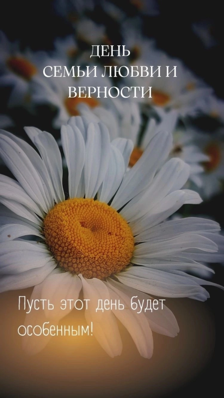 ❤️8 июля отмечается День семьи, любви и верности