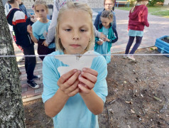 Маяковцы провели акцию &laquo;Журавли Памяти&raquo;