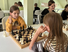 А кто такой вожатый?