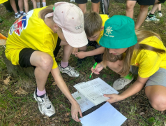 Игра &laquo;Железнодорожный вызов!&raquo;