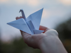 Акция &laquo;Белые журавлики&raquo;