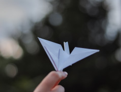 Акция &laquo;Белые журавлики&raquo;