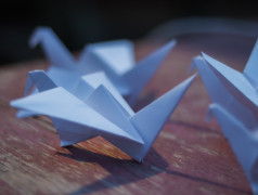 Акция &laquo;Белые журавлики&raquo;