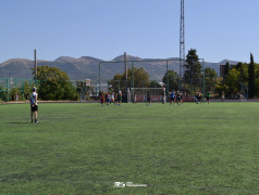 В &laquo;Экспрессе&raquo; кипит спортивная жизнь!