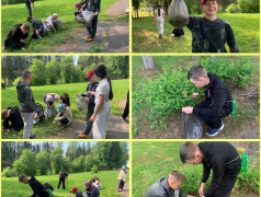 День эколога в нашем лагере