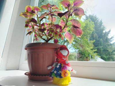 Игрушка в добрые руки