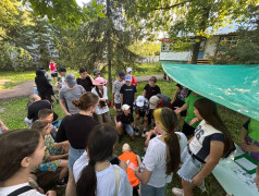  Железнодорожный вызов принят! 