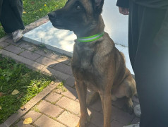 В Юном железнодорожнике в гостях кинолог из полиции со своим верным другом