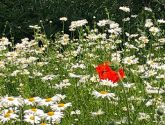 Моя малая Родина