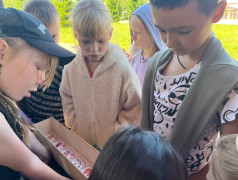 Железнодорожный вызов в Юном железнодорожнике