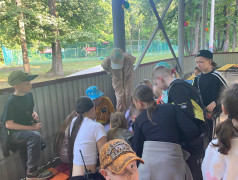 "Орлята" покоряют правила дорожного движения! 