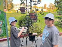 День экологии