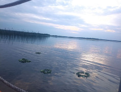 На Ивана на Купала