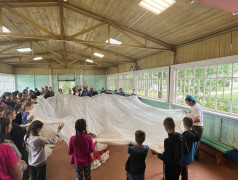 "Дорога добра"