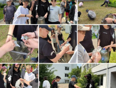 День эколога в нашем лагере