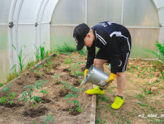 День экологии!