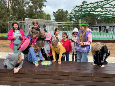 Помощники тренеров в действии
