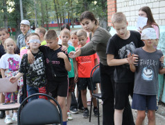 Виды волонтёрства