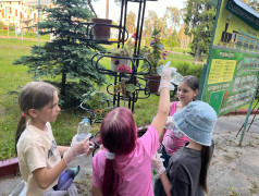 День экологии