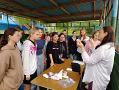 Лагерь в движении: &ldquo;Железнодорожный вызов&rdquo; объединил юных чемпионов