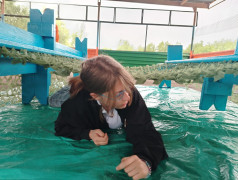 Лагерь в движении: &ldquo;Железнодорожный вызов&rdquo; объединил юных чемпионов