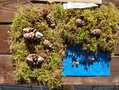 &laquo;Зеленый мир &ndash; наш добрый дом&raquo;