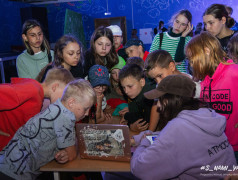 Железное здоровье &ndash; какая каста станет самой сильной?