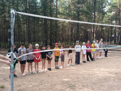соревнования по волейболу и пионерболу