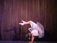 На территории лета зажигаются звёзды