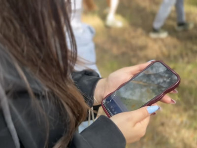 Стальные нервы и железная воля