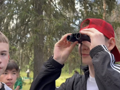 Стальные нервы и железная воля