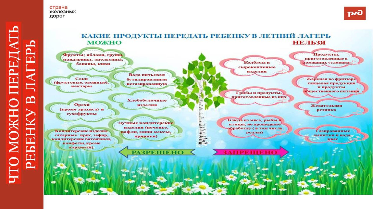 ДОЛ "Юный железнодорожник"