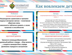 Концепция ДОЛ "Сосновый бор"