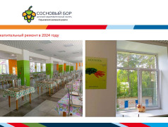 Материально-техническое обеспечение и оснащенность организации отдыха детей и их оздоровления ДОЛ "Сосновый бор" ГЖД