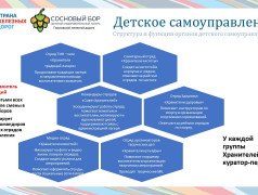 Концепция ДОЛ "Сосновый бор"