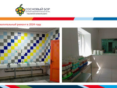 Материально-техническое обеспечение и оснащенность организации отдыха детей и их оздоровления ДОЛ "Сосновый бор" ГЖД