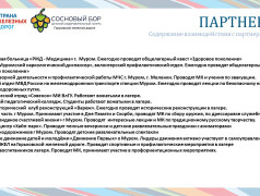 Концепция ДОЛ "Сосновый бор"