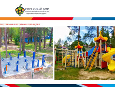 Материально-техническое обеспечение и оснащенность организации отдыха детей и их оздоровления ДОЛ "Сосновый бор" ГЖД