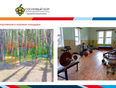 Материально-техническое обеспечение и оснащенность организации отдыха детей и их оздоровления ДОЛ "Сосновый бор" ГЖД