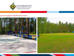 Материально-техническое обеспечение и оснащенность организации отдыха детей и их оздоровления ДОЛ "Сосновый бор" ГЖД