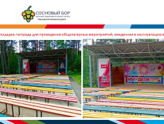 Материально-техническое обеспечение и оснащенность организации отдыха детей и их оздоровления ДОЛ "Сосновый бор" ГЖД