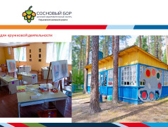Материально-техническое обеспечение и оснащенность организации отдыха детей и их оздоровления ДОЛ "Сосновый бор" ГЖД