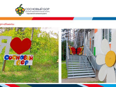 Материально-техническое обеспечение и оснащенность организации отдыха детей и их оздоровления ДОЛ "Сосновый бор" ГЖД