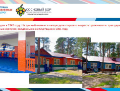 Материально-техническое обеспечение и оснащенность организации отдыха детей и их оздоровления ДОЛ "Сосновый бор" ГЖД