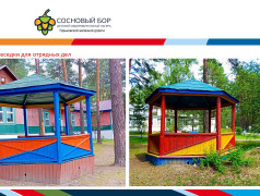 Материально-техническое обеспечение и оснащенность организации отдыха детей и их оздоровления ДОЛ "Сосновый бор" ГЖД