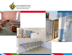 Материально-техническое обеспечение и оснащенность организации отдыха детей и их оздоровления ДОЛ "Сосновый бор" ГЖД