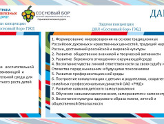 Концепция ДОЛ "Сосновый бор"